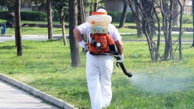 Пръскане срещу комари